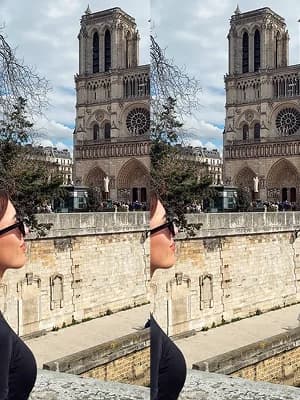 faceswap videos